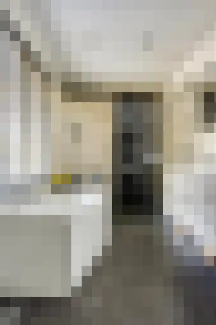 Zülpichhof 19 Elst thumbnail 45