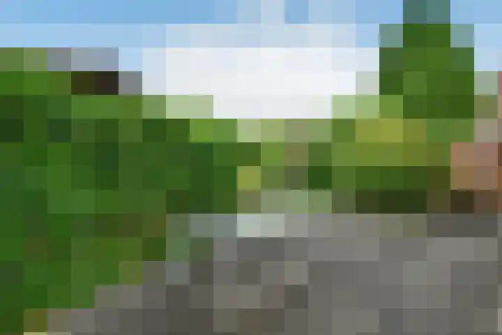 Zülpichhof 19 Elst thumbnail 47