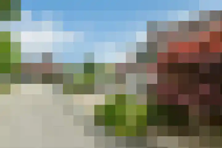 Zülpichhof 19 Elst thumbnail 5