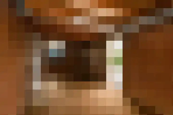 Zülpichhof 19 Elst thumbnail 50