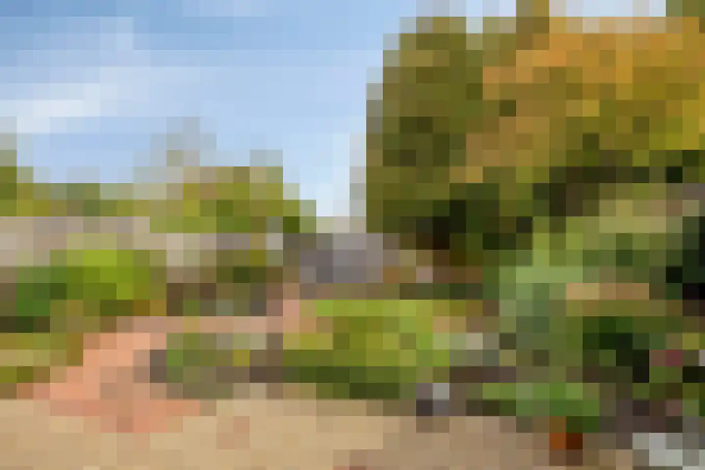 Zulthereschweg 13 D Roden thumbnail 33