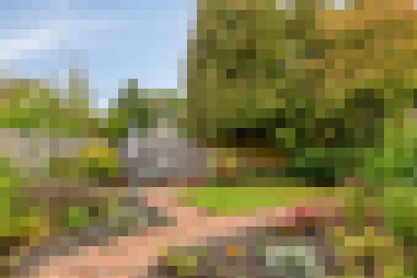 Zulthereschweg 13 D Roden thumbnail 35