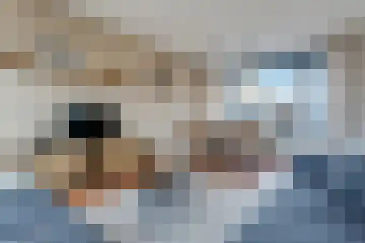 Zulthereschweg 45 Roden thumbnail 13