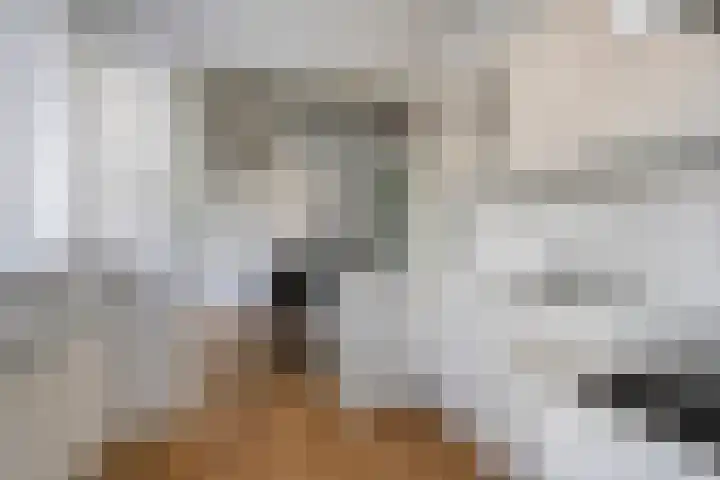 Zulthereschweg 79 Roden thumbnail 14