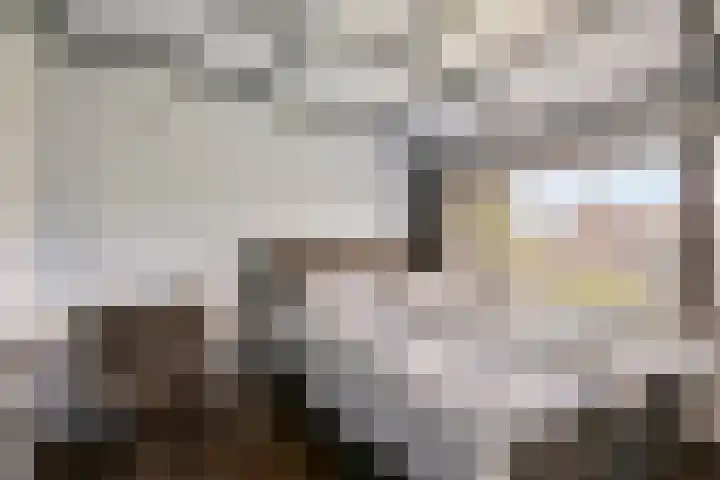 Zulthereschweg 79 Roden thumbnail 16