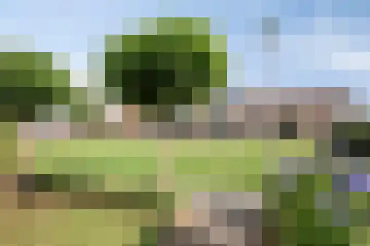 Zulthereschweg 79 Roden thumbnail 4