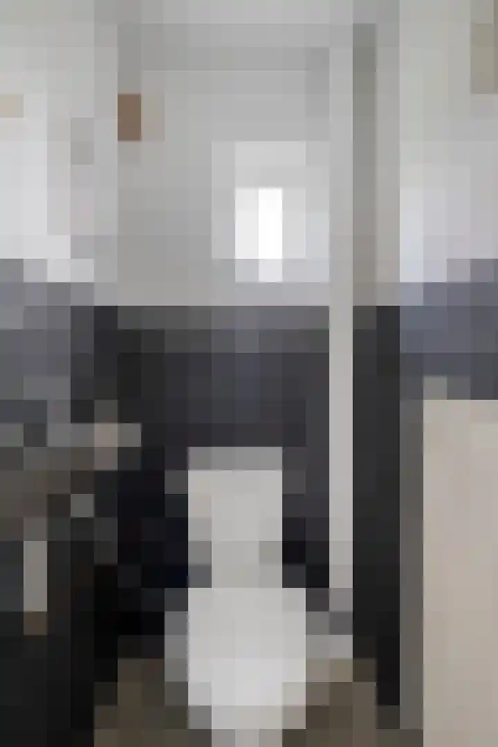 Zulthereschweg 79 Roden thumbnail 6