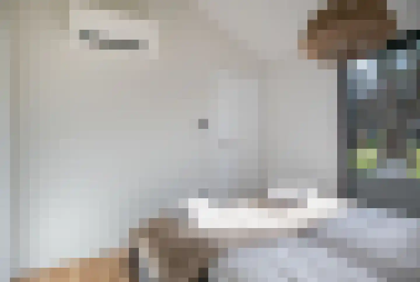 Zum Feriengebiet 1 H13 Wilsum thumbnail 24