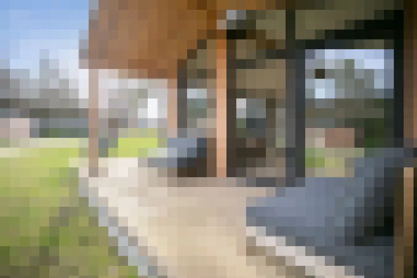 Zum Feriengebiet 1 H13 Wilsum thumbnail 32