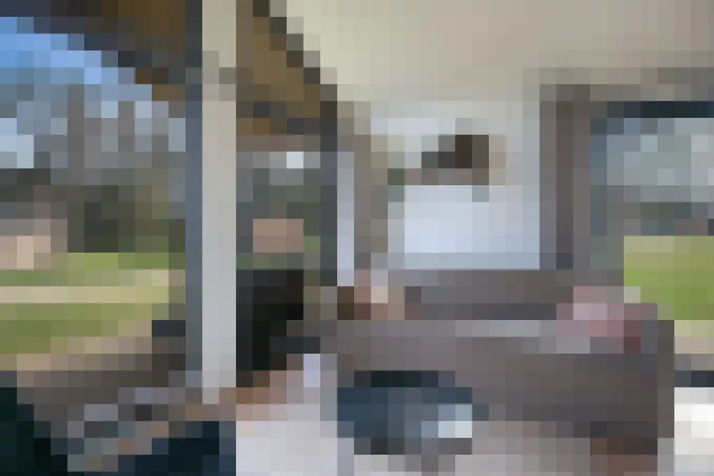 Zum Feriengebiet 1 H13 Wilsum thumbnail 9