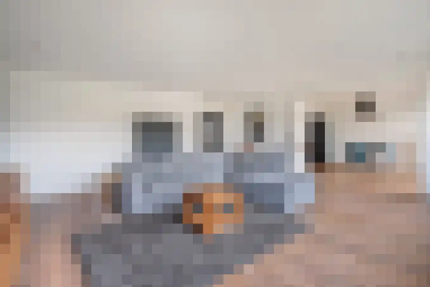Zum Tüschenbrook 10 A Bad Nieuweschans thumbnail 11