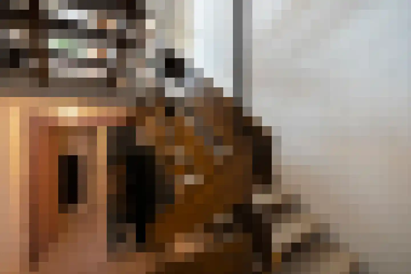 Zum Tüschenbrook 10 A Bad Nieuweschans thumbnail 36