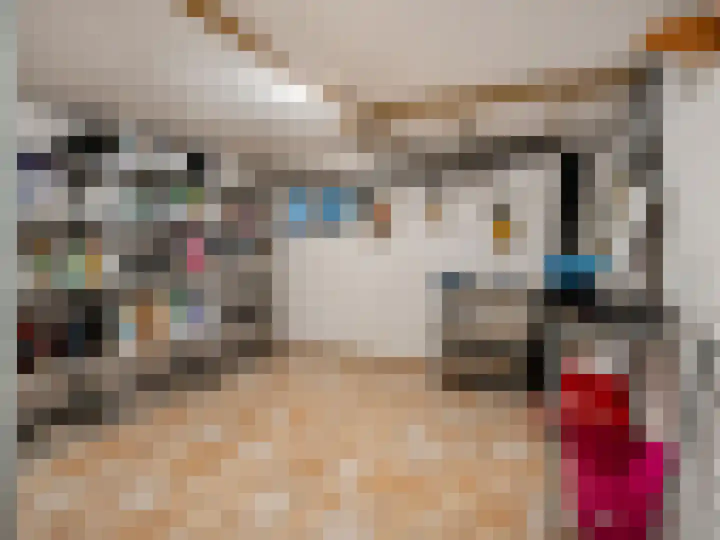 Zum Tüschenbrook 10 A Bad Nieuweschans thumbnail 39