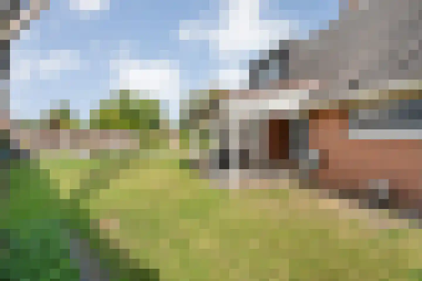 Zum Tüschenbrook 10 A Bad Nieuweschans thumbnail 42