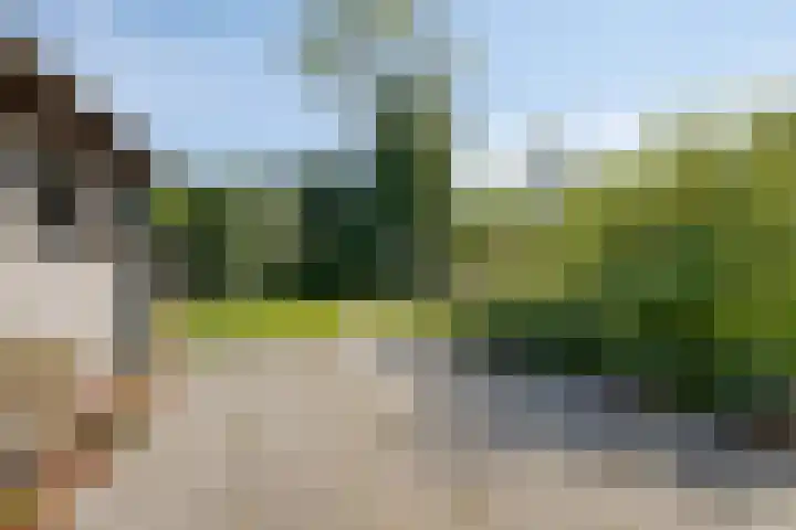 Zundertseweg 1 Etten-Leur thumbnail 34
