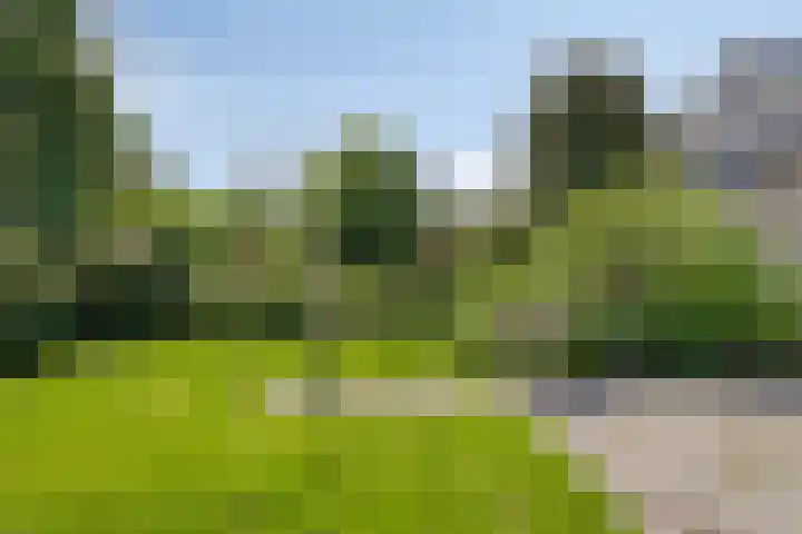 Zundertseweg 1 Etten-Leur thumbnail 36