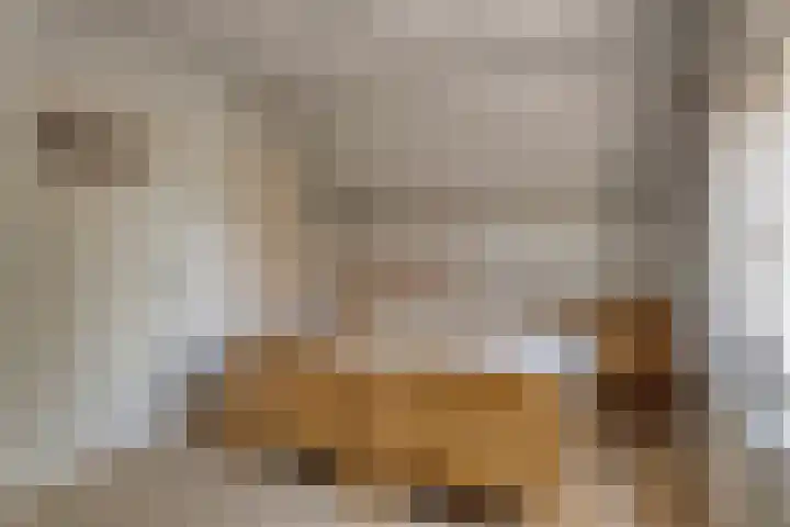 Zundertseweg 1 Etten-Leur thumbnail 4