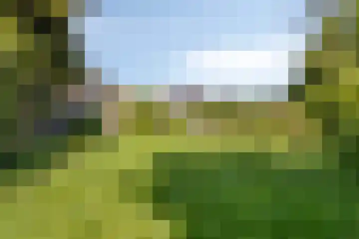 Zundertseweg 1 Etten-Leur thumbnail 5