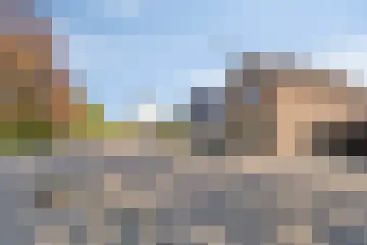 Zundertseweg 1 Etten-Leur thumbnail 8