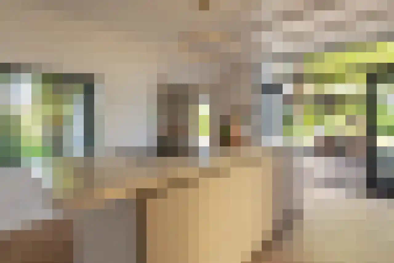 Zuppeldseweg 12 Heerde thumbnail 11
