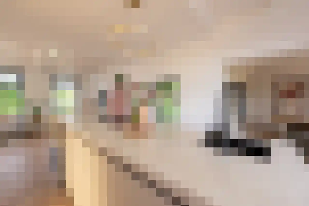 Zuppeldseweg 12 Heerde thumbnail 13