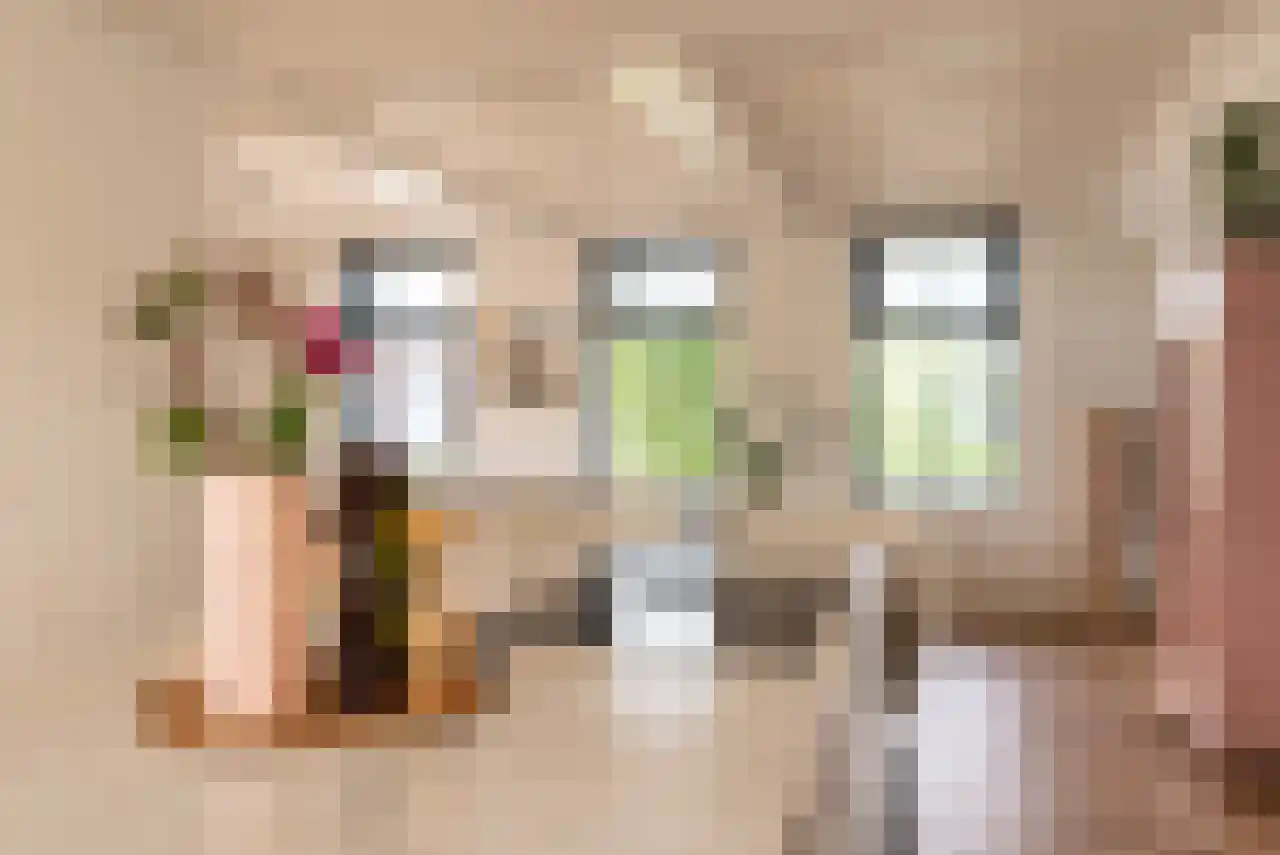 Zuppeldseweg 12 Heerde thumbnail 15