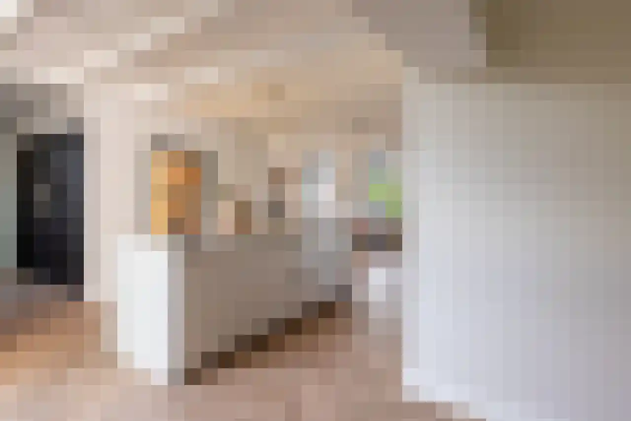 Zuppeldseweg 12 Heerde thumbnail 17