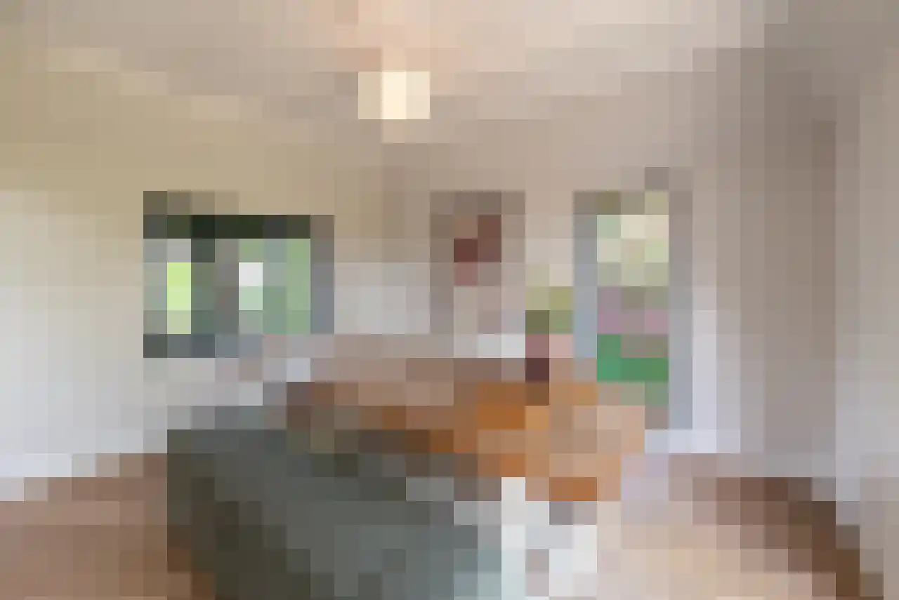 Zuppeldseweg 12 Heerde thumbnail 19