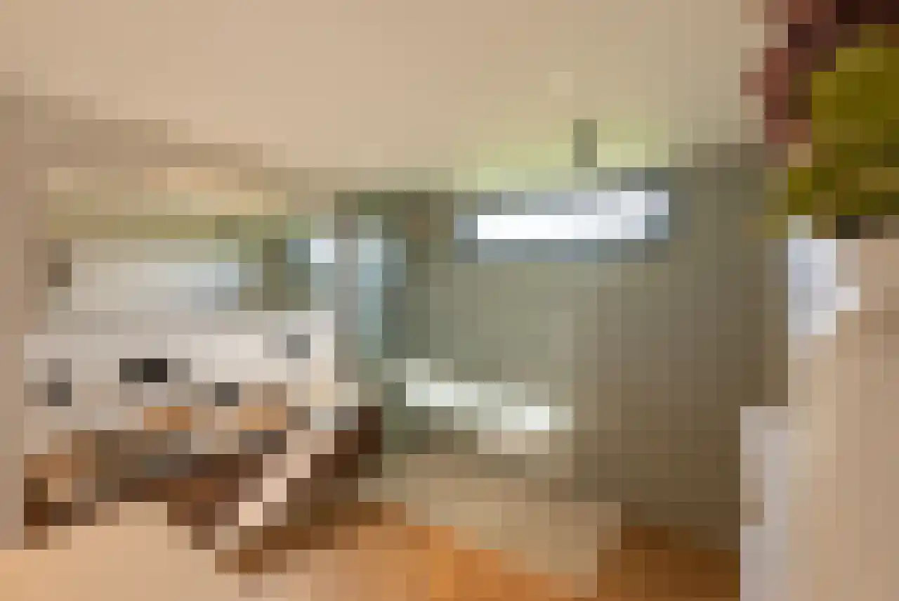 Zuppeldseweg 12 Heerde thumbnail 25