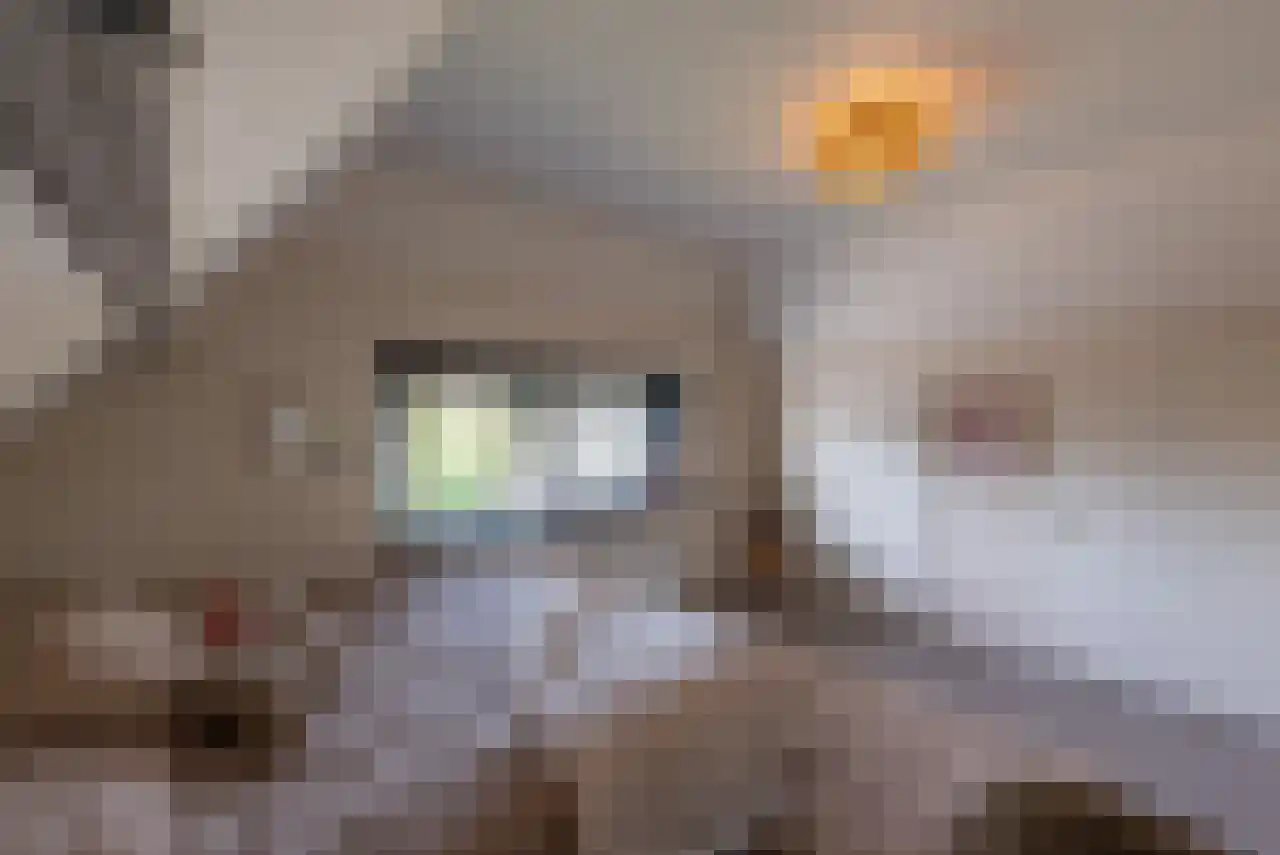 Zuppeldseweg 12 Heerde thumbnail 30