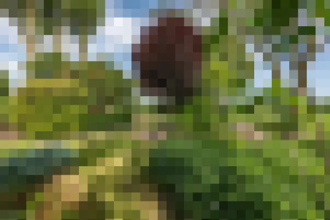 Zuppeldseweg 12 Heerde thumbnail 36