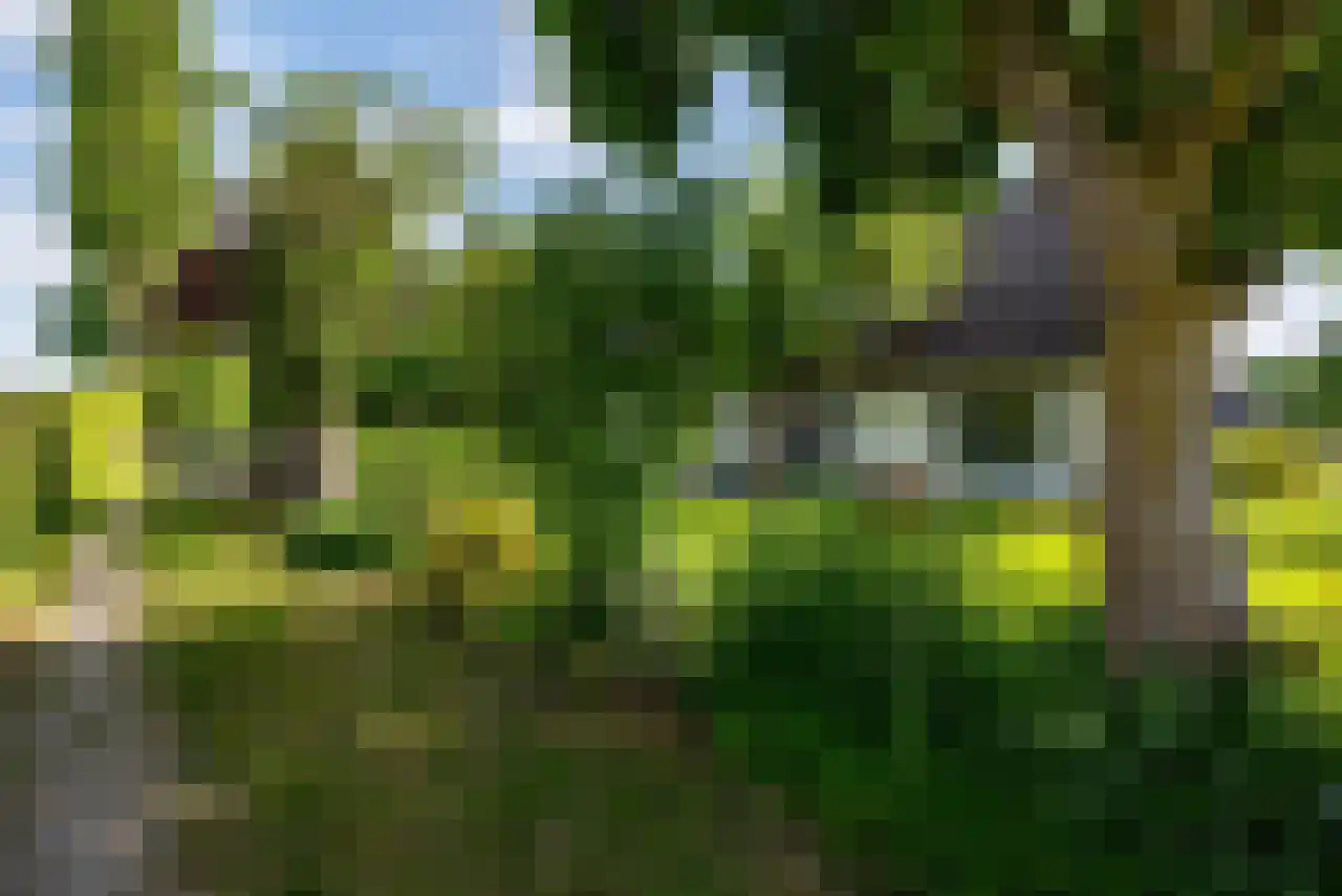 Zuppeldseweg 12 Heerde thumbnail 37