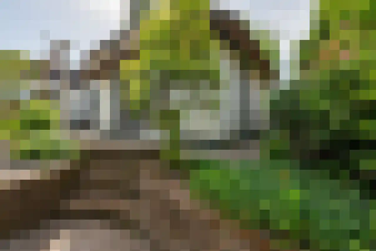 Zuppeldseweg 12 Heerde thumbnail 38