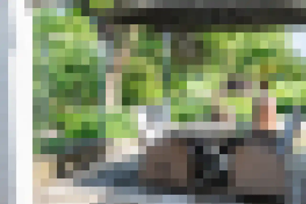 Zuppeldseweg 12 Heerde thumbnail 39