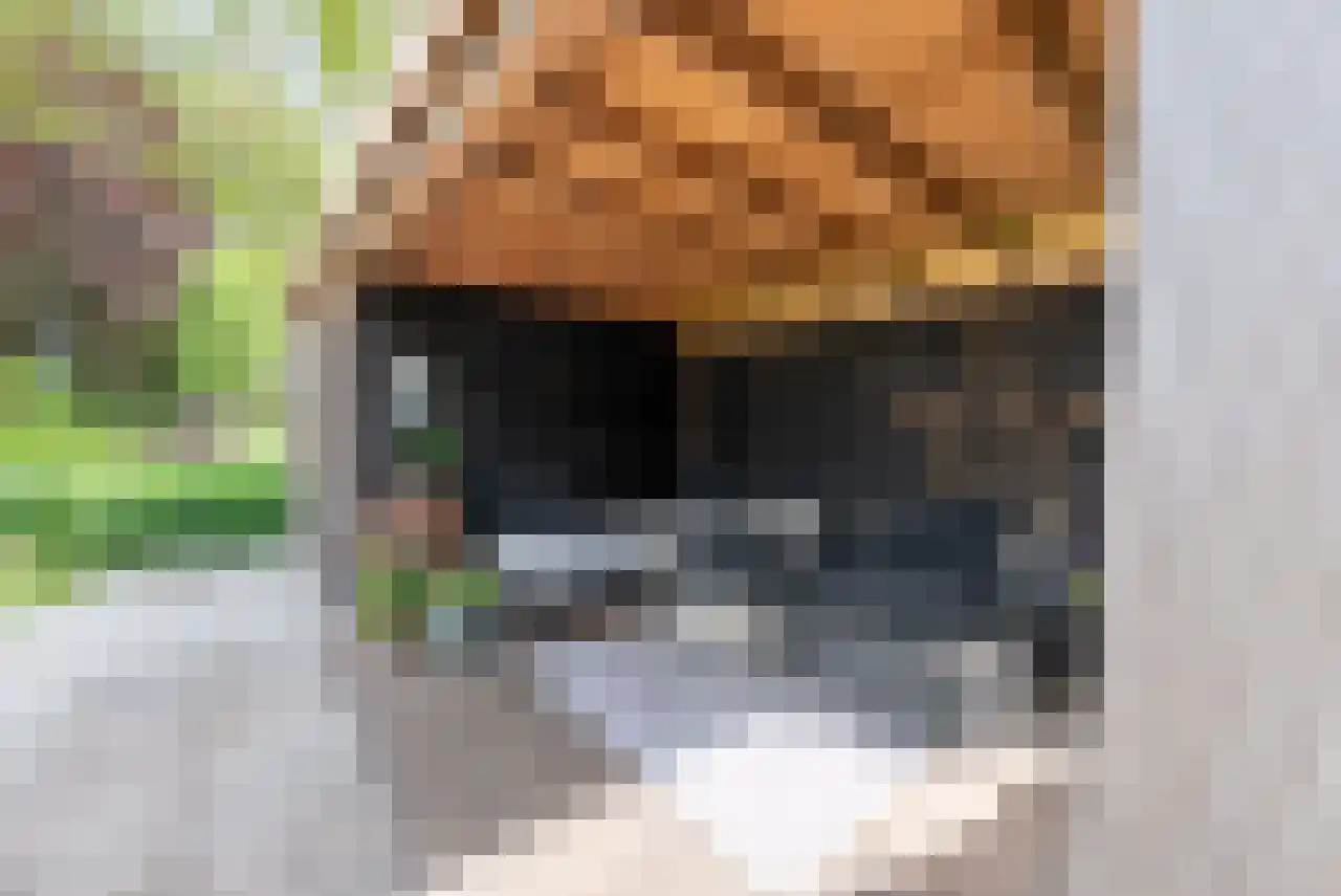 Zuppeldseweg 12 Heerde thumbnail 40