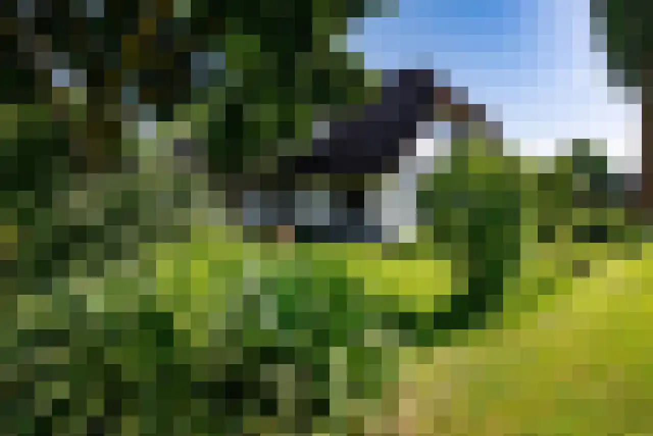 Zuppeldseweg 12 Heerde thumbnail 44