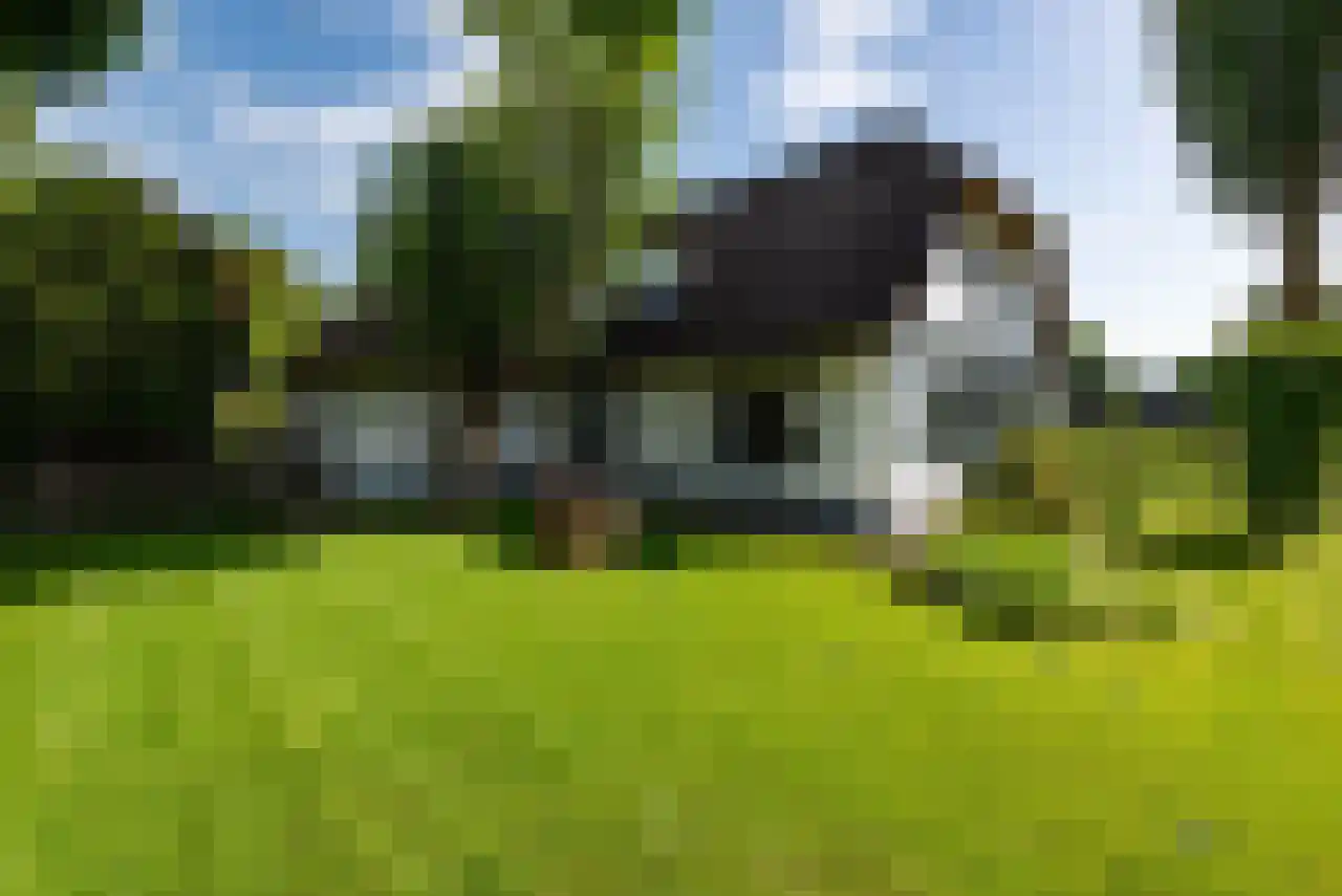 Zuppeldseweg 12 Heerde thumbnail 45