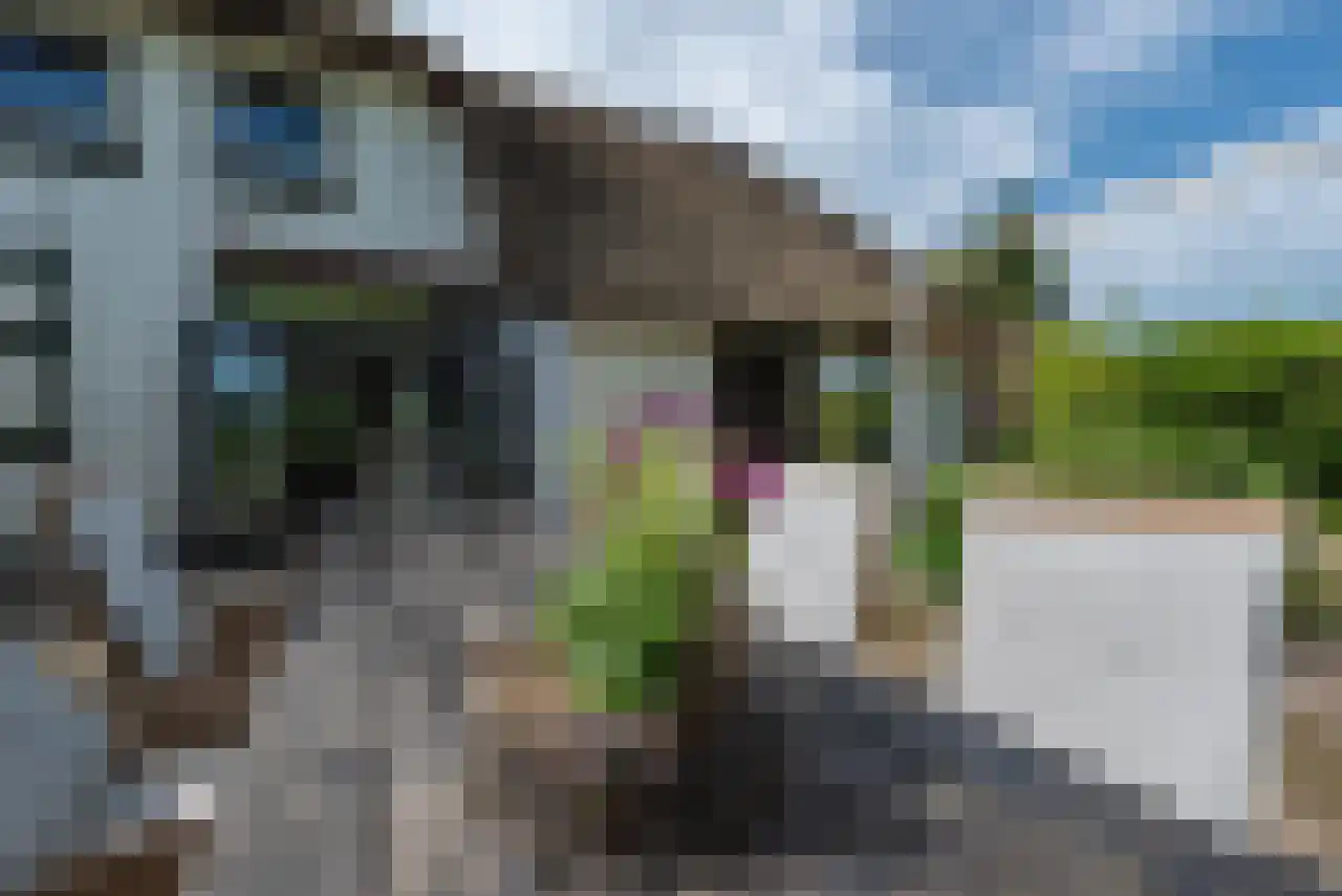 Zuppeldseweg 12 Heerde thumbnail 46