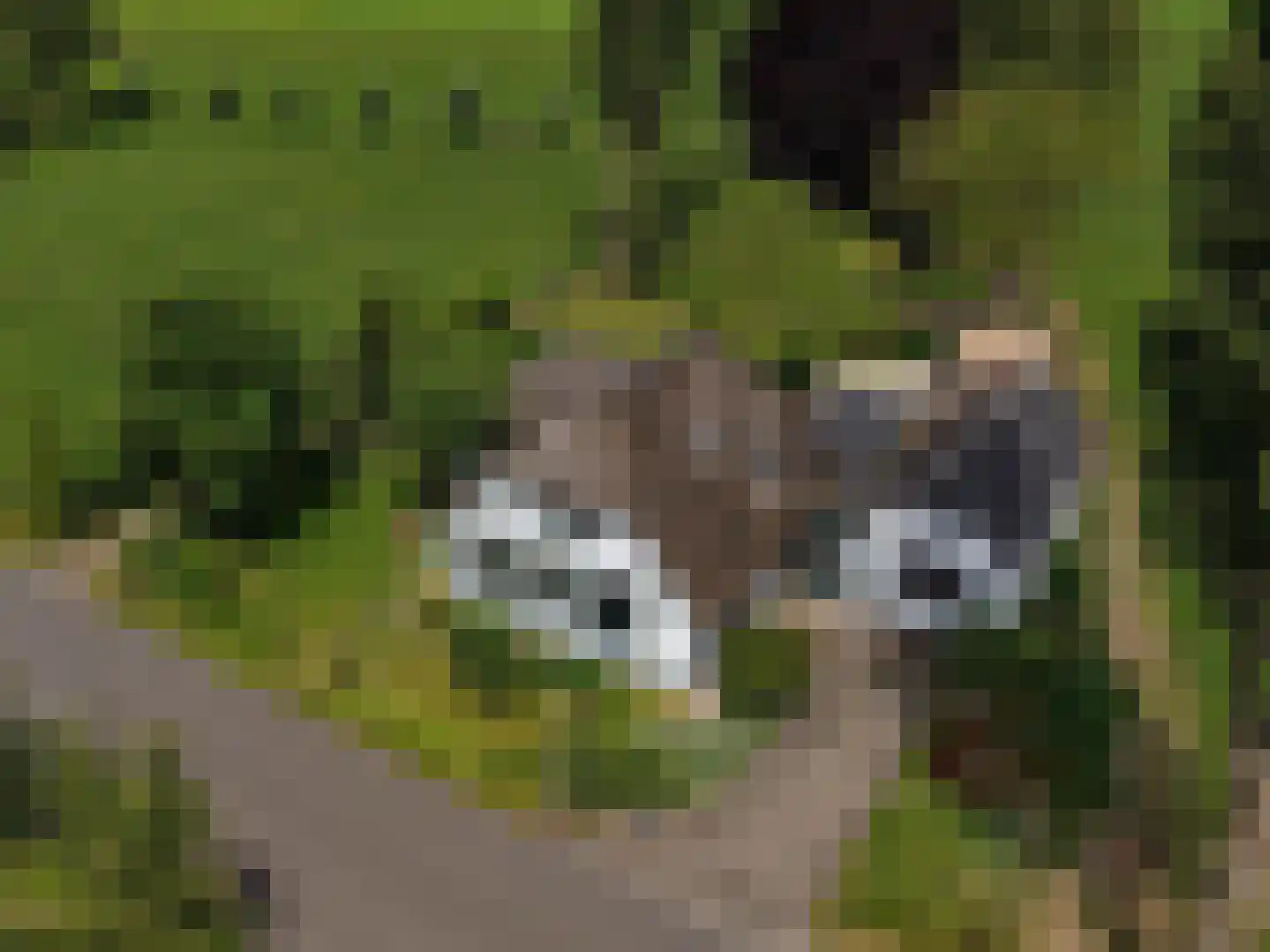 Zuppeldseweg 12 Heerde thumbnail 47