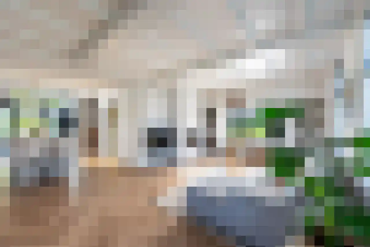 Zuppeldseweg 12 Heerde thumbnail 8