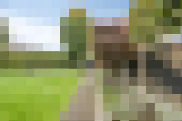 Zuppeldseweg 39 Heerde thumbnail 4