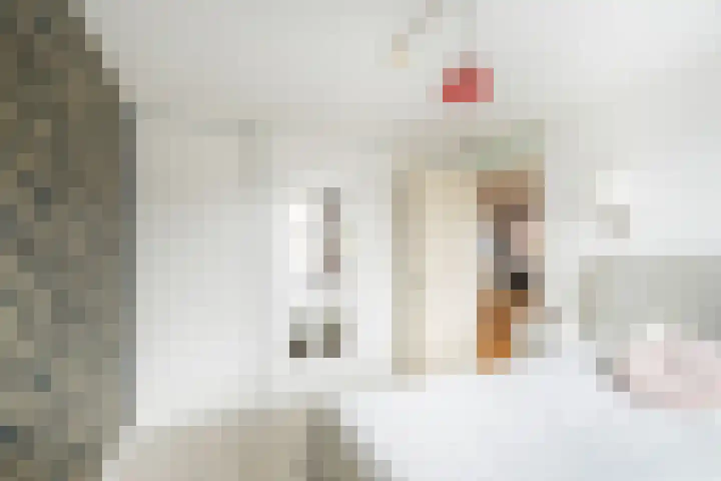 Zure Vischsteeg 48 Maassluis thumbnail 12