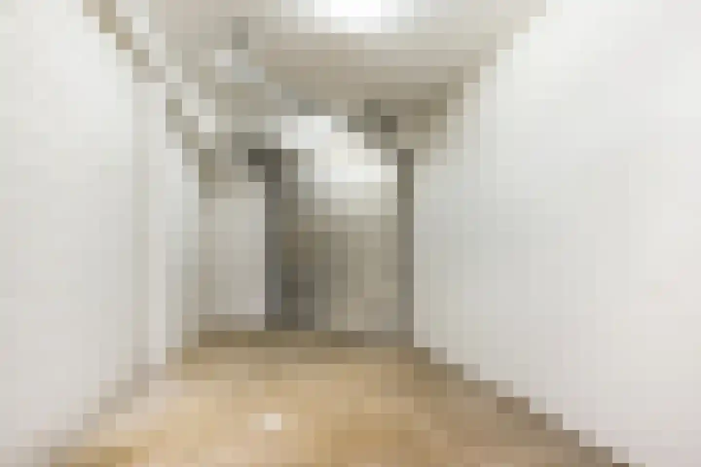 Zure Vischsteeg 48 Maassluis thumbnail 33