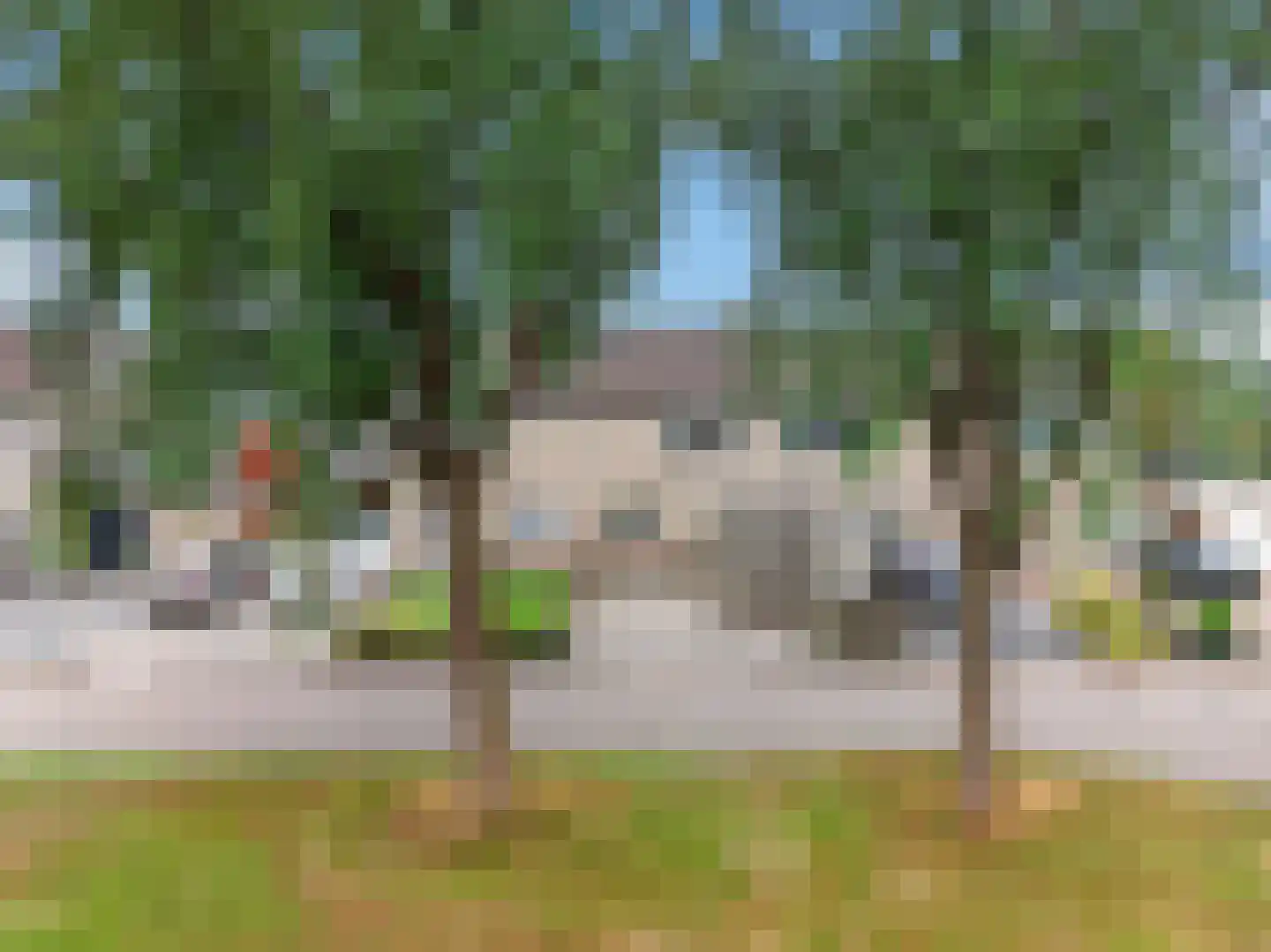 Zuring 115 Klazienaveen