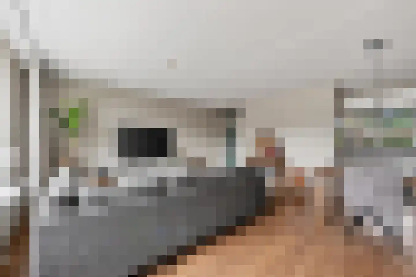 Zuring 115 Klazienaveen thumbnail 10