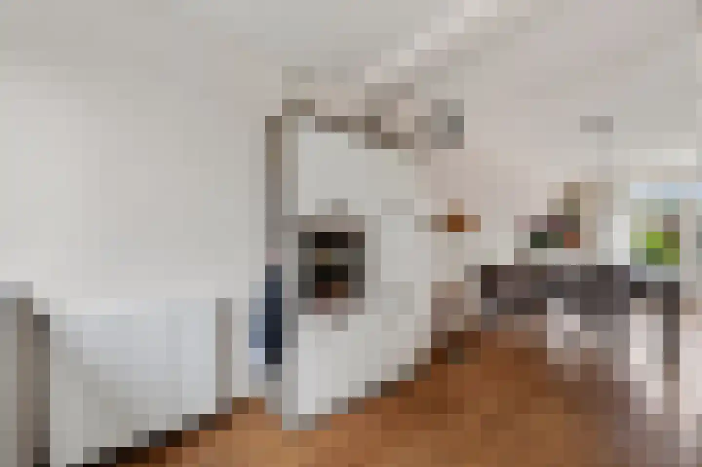 Zuring 115 Klazienaveen thumbnail 15