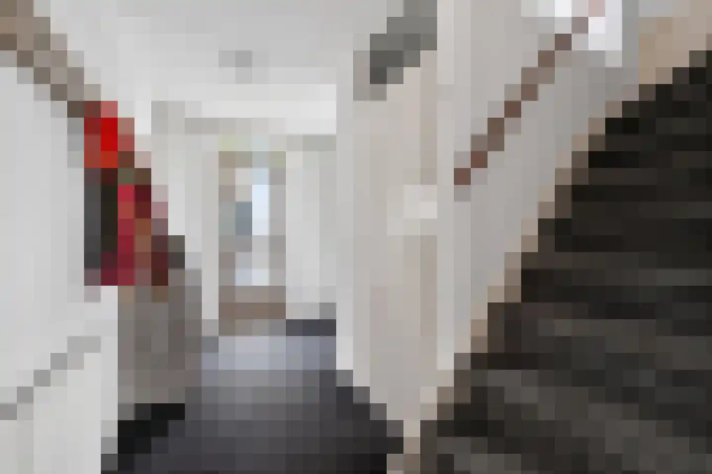 Zuring 115 Klazienaveen thumbnail 4