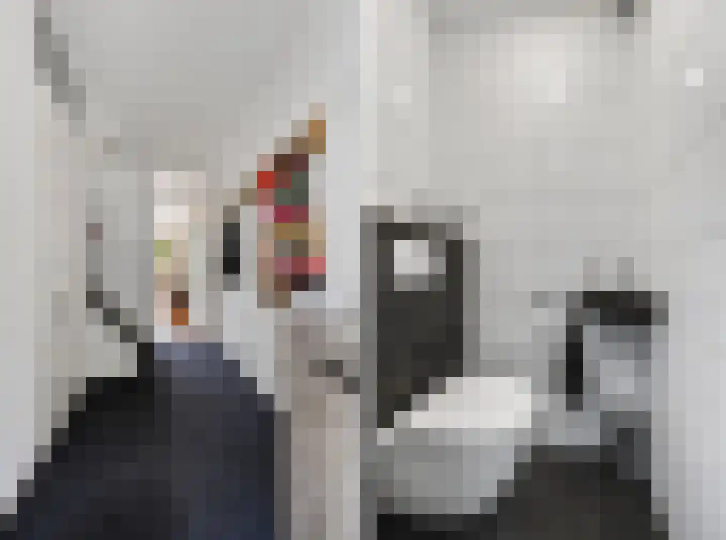 Zuring 115 Klazienaveen thumbnail 5