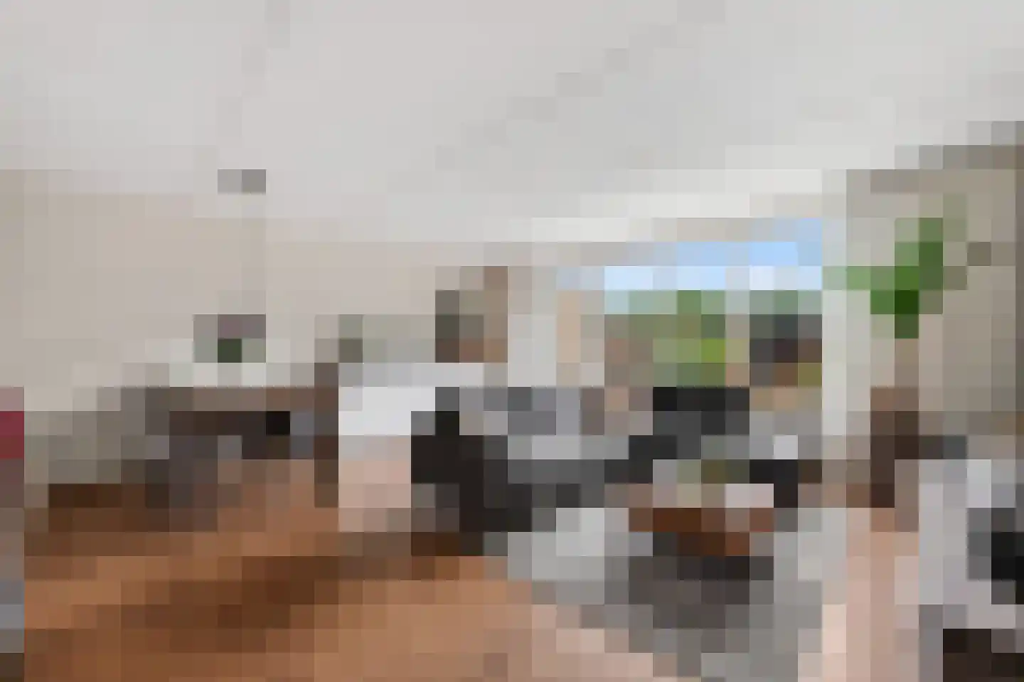 Zuring 115 Klazienaveen thumbnail 6