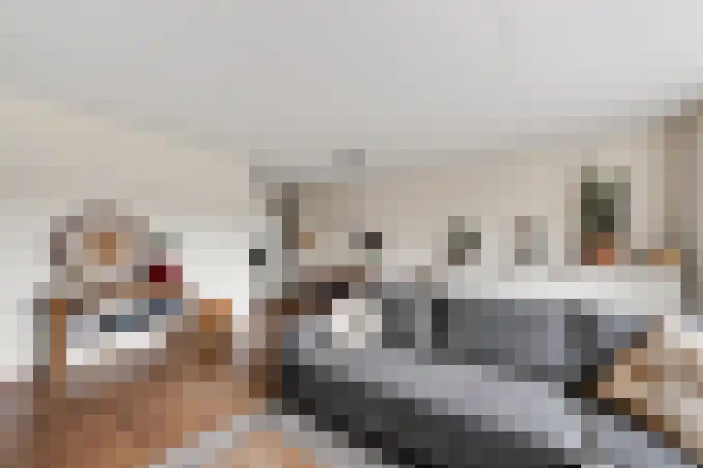 Zuring 115 Klazienaveen thumbnail 8